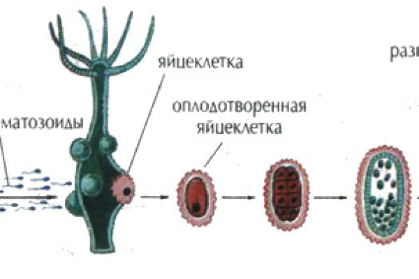 Кракен сайт 16