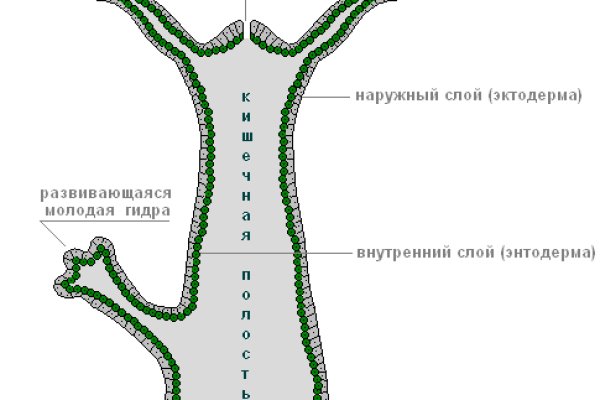 Кракен макет плейс